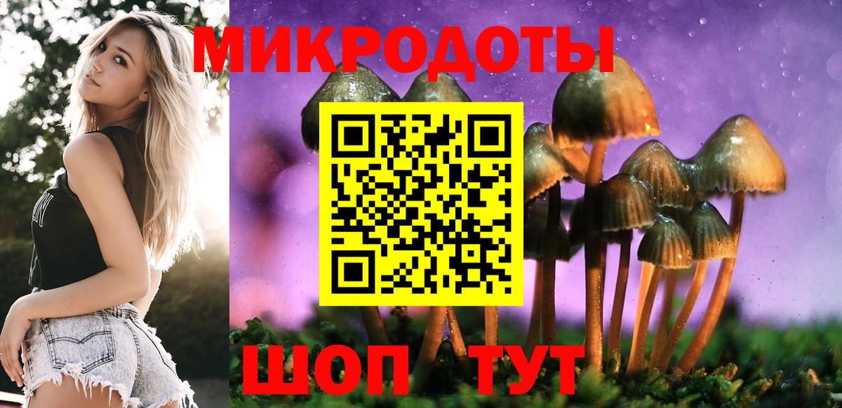 Бошки Шишки Архангельск