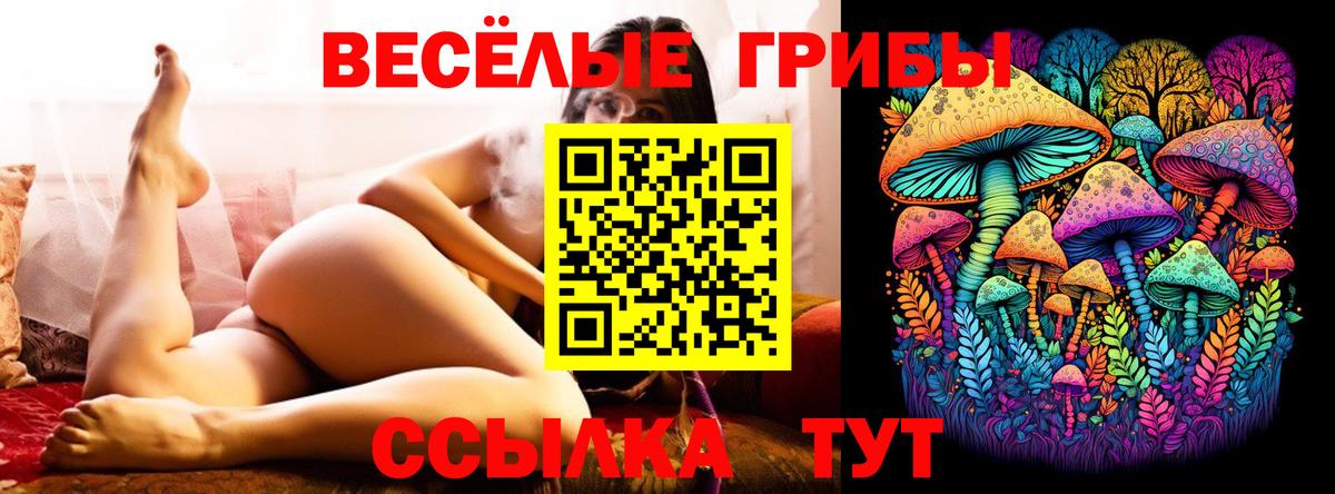 Галлюциногенные грибы Magic Shrooms Архангельск